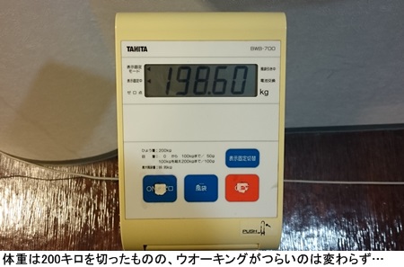 ポケモンgo で10キロ減 巨漢ライターが1週間挑戦 Medical Tribune